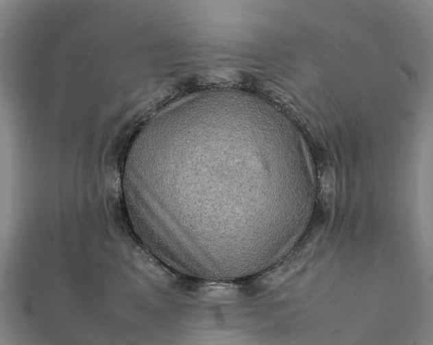 X0000112090617200908181305