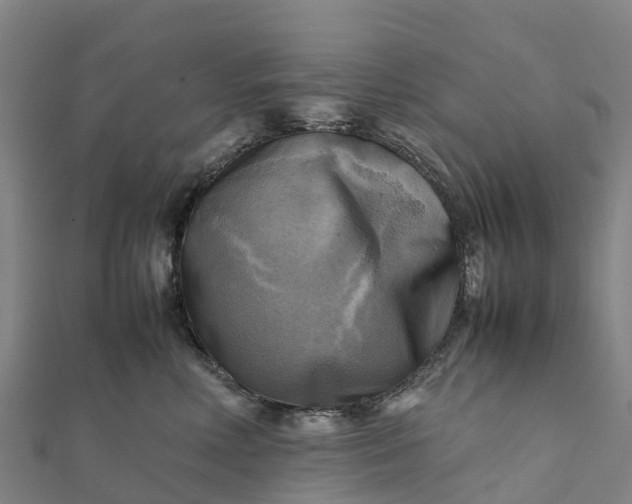 X0000112090618200908181305