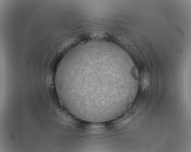 X0000112090619200908181305