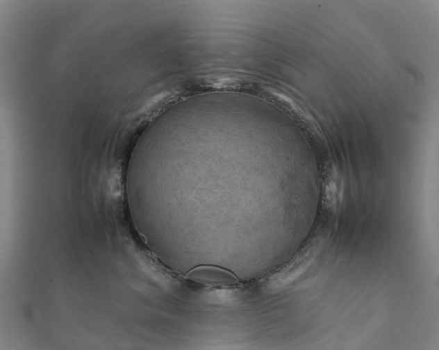 X0000112090620200908181305