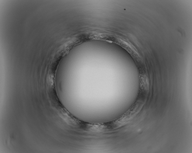 X0000112090621200908181305