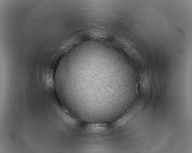 X0000112090622200908181305