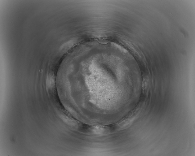 X0000112090623200908181305