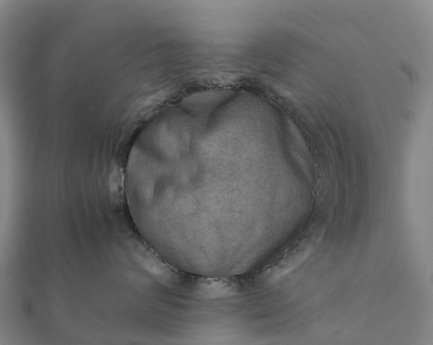 X0000112090624200908181305