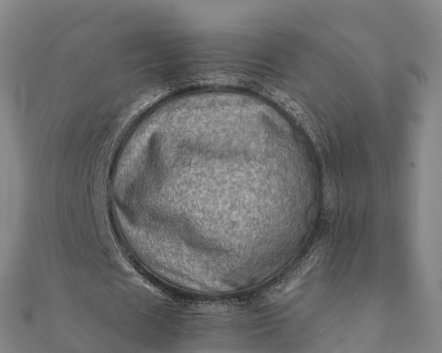 X0000112090625200908181304