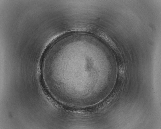 X0000112090628200908181304