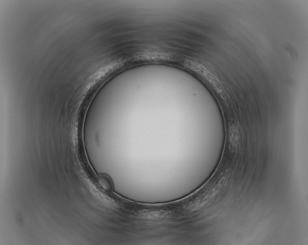 X0000112090629200908181304