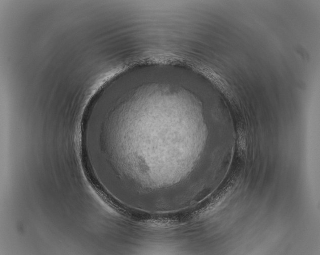 X0000112090630200908181304