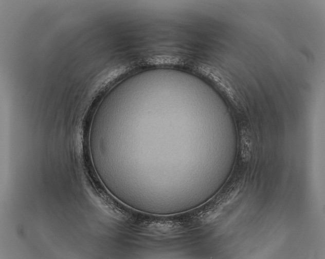 X0000112090631200908181304