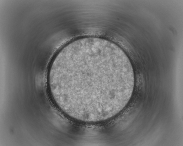 X0000112090632200908181304