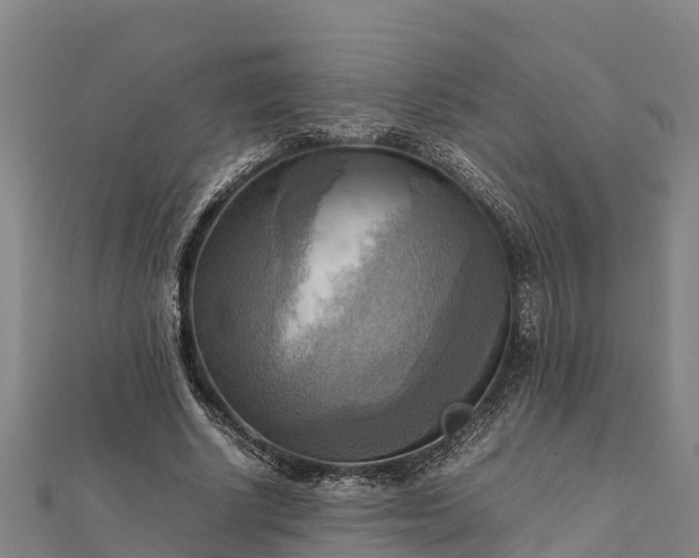 X0000112090634200908181304