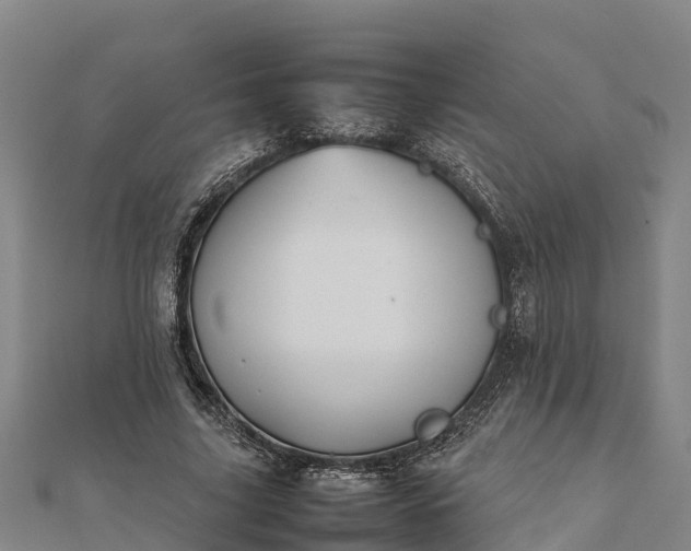 X0000112090635200908181304