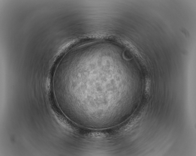 X0000112090636200908181304