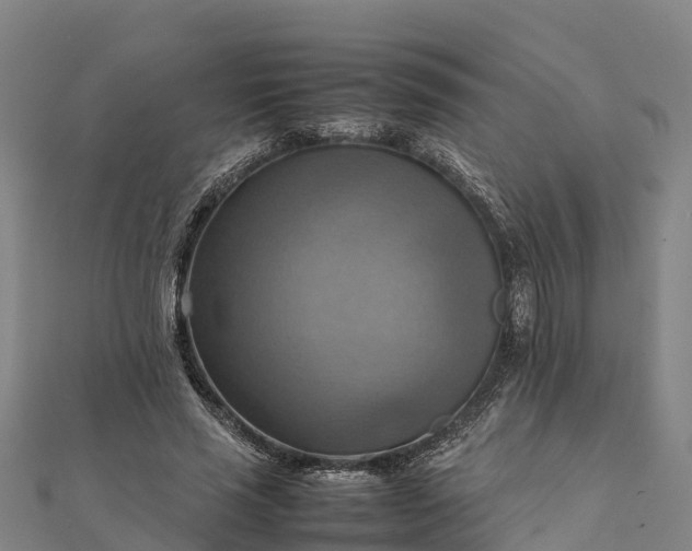 X0000112090637200908181304