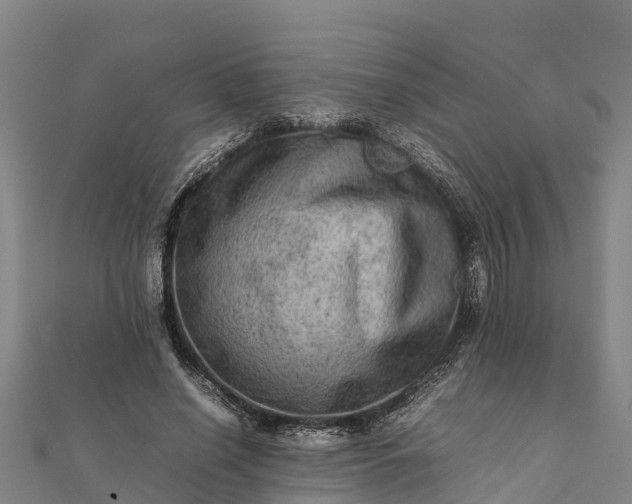 X0000112090638200908181304