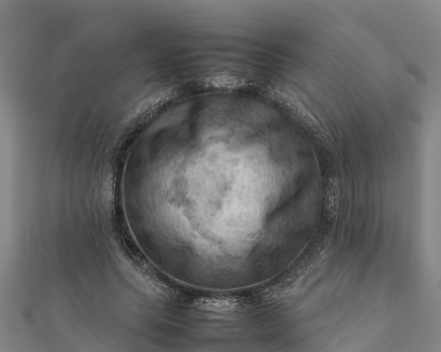 X0000112090639200908181304