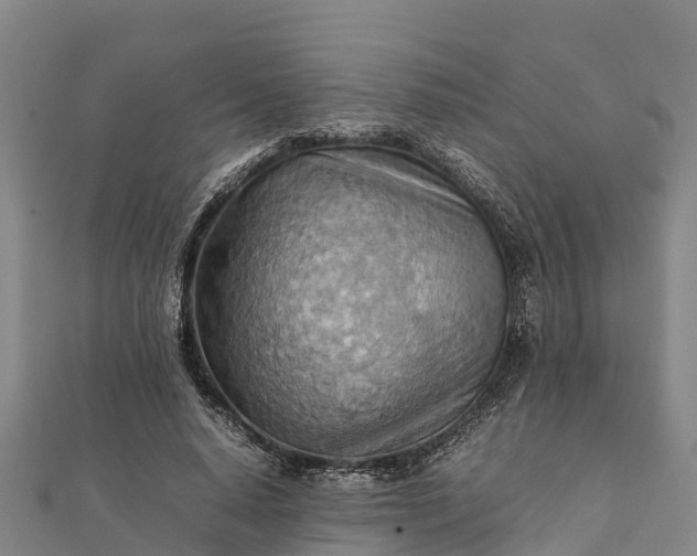 X0000112090640200908181304