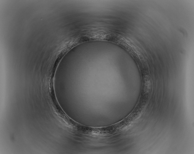 X0000112090641200908181304