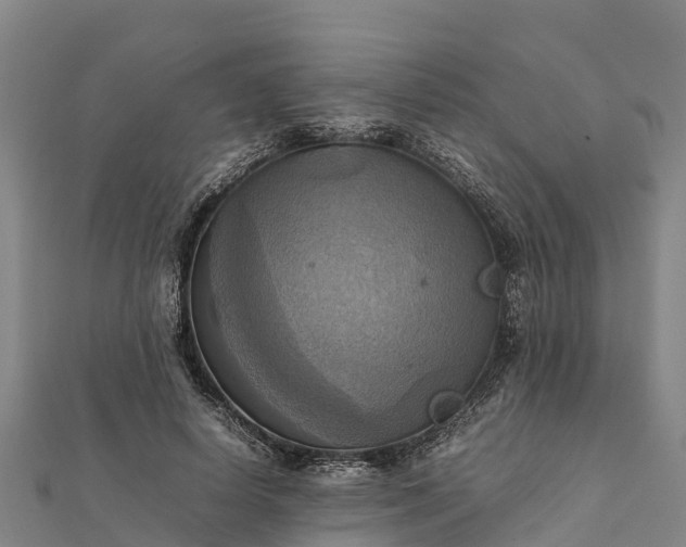 X0000112090642200908181304