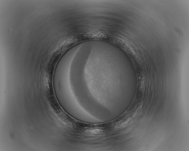 X0000112090643200908181304