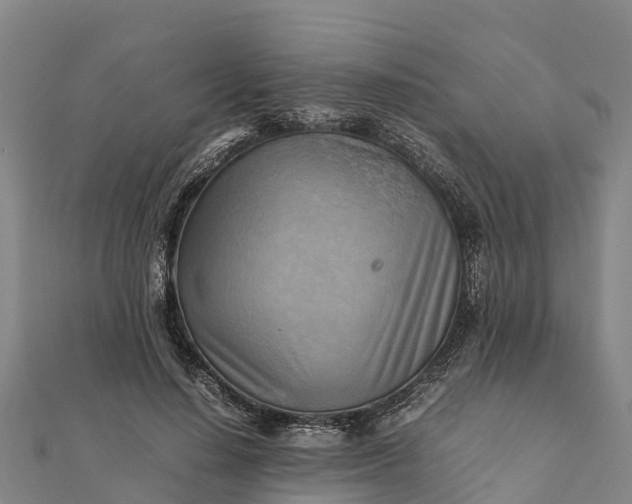 X0000112090644200908181304