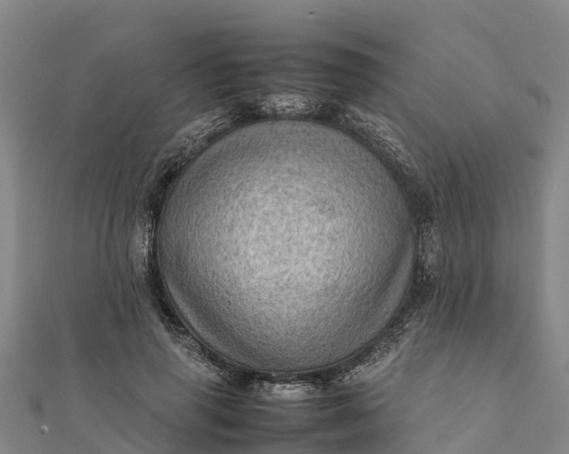 X0000112090645200908181304