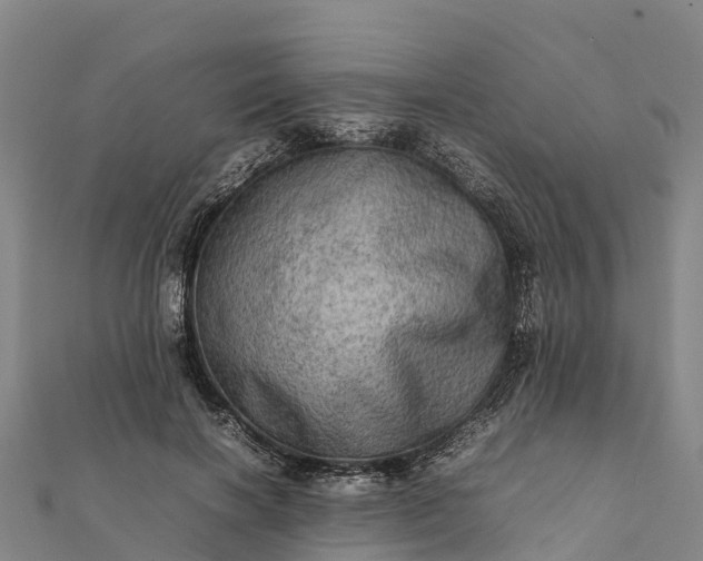 X0000112090646200908181304