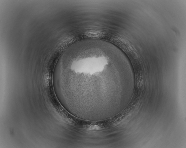 X0000112090647200908181304