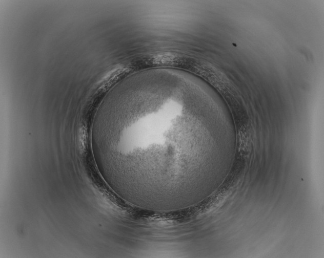 X0000112090648200908181304