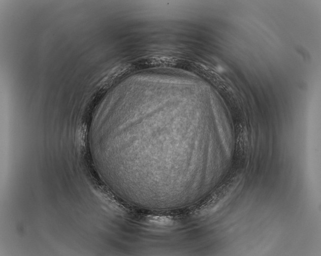 X0000112090649200908181304