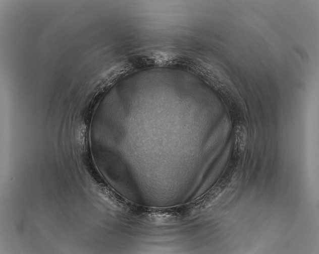 X0000112090650200908181304