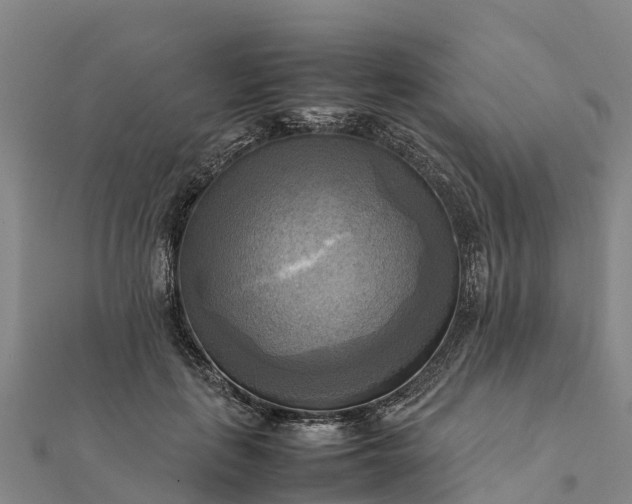 X0000112090651200908181304