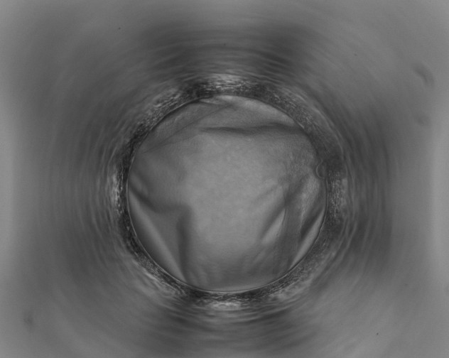 X0000112090653200908181304