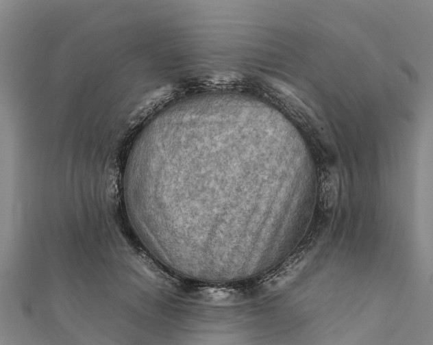 X0000112090654200908181304