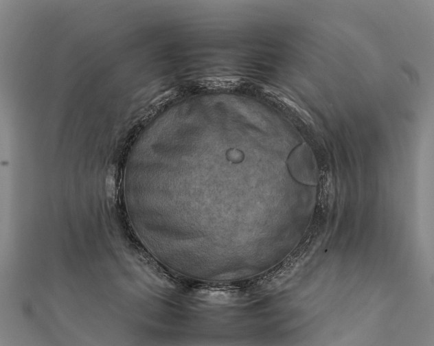 X0000112090655200908181305