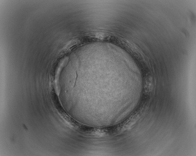 X0000112090656200908181305