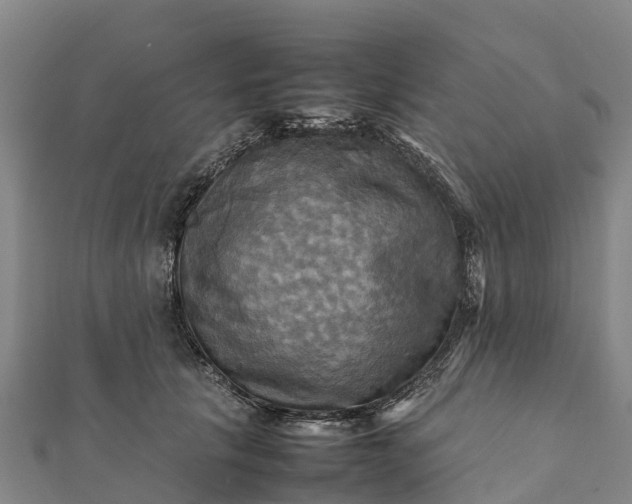 X0000112090657200908181305