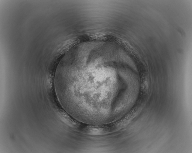 X0000112090658200908181305