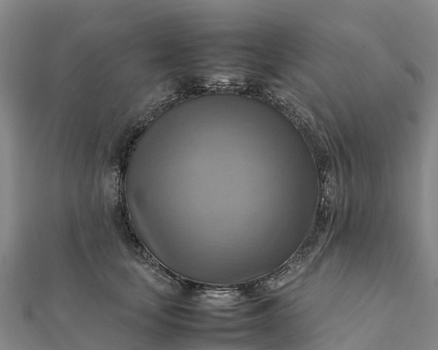 X0000112090659200908181305