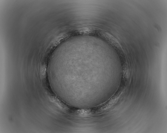 X0000112090660200908181305