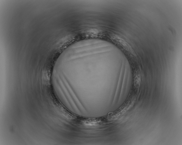 X0000112090661200908181305