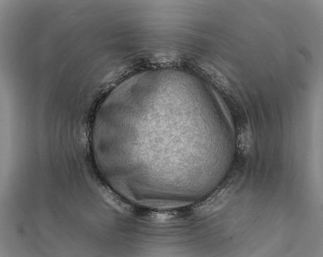 X0000112090662200908181305