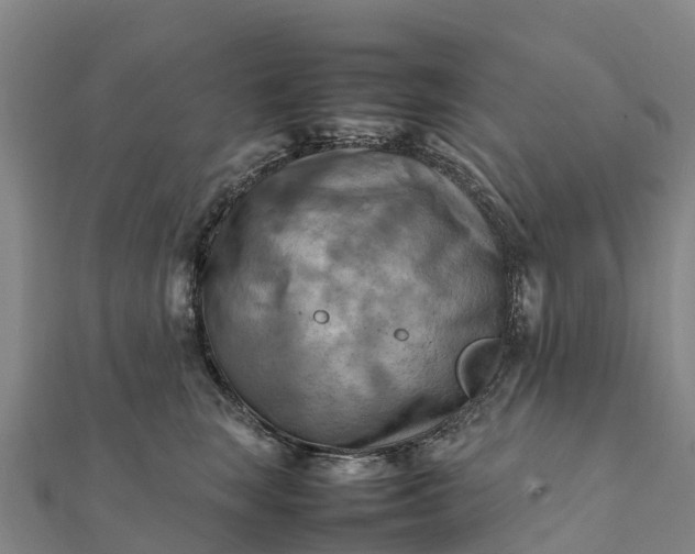 X0000112090663200908181305