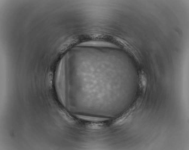 X0000112090664200908181305