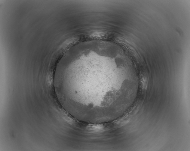 X0000112090665200908181305