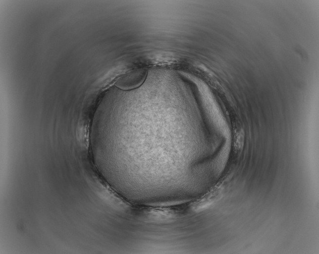 X0000112090666200908181305