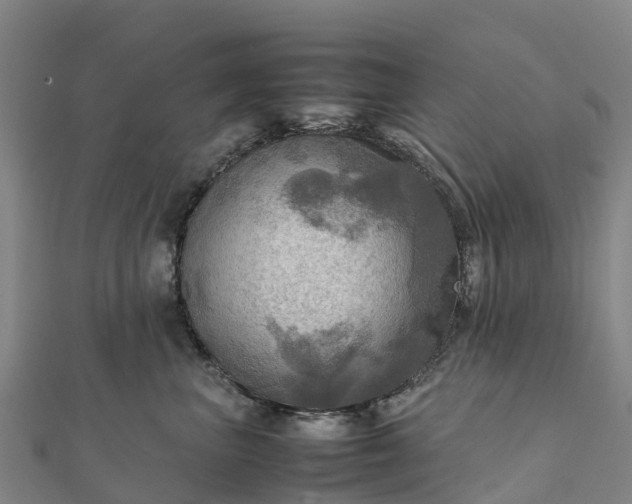 X0000112090667200908181305