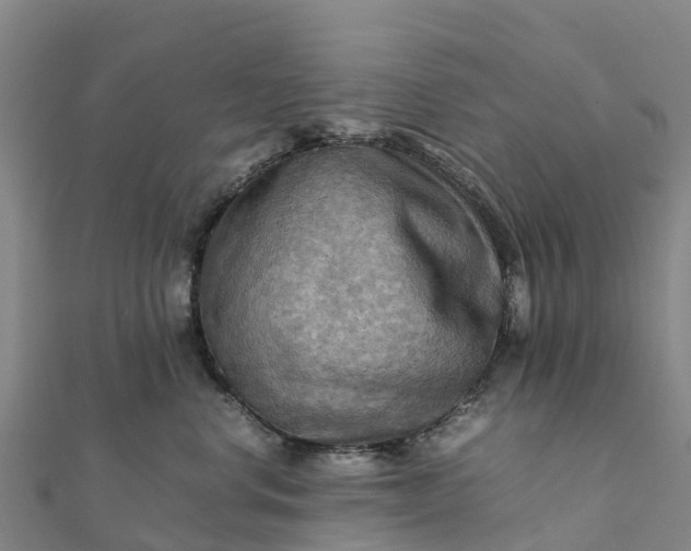 X0000112090668200908181305