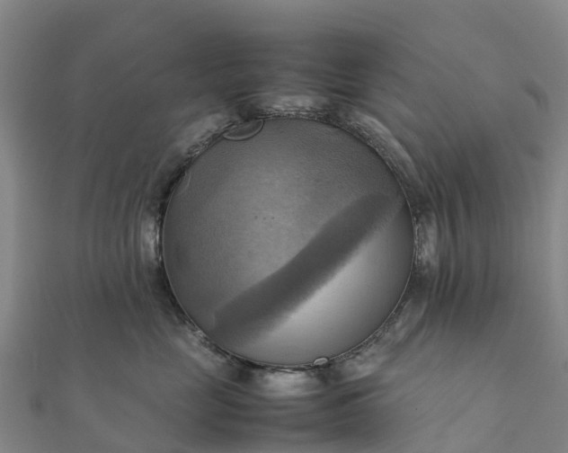 X0000112090669200908181305