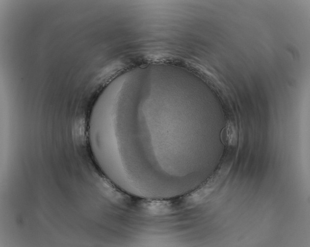 X0000112090670200908181305